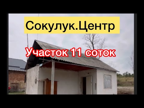 Видео: Сокулуктан 11 соток участок уйу менен сатылат