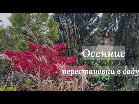 Видео: Пересадка и обновление сада: ищу идеальные сочетания и пропорции 🌿 Mein Gartenerneuerung 🌿