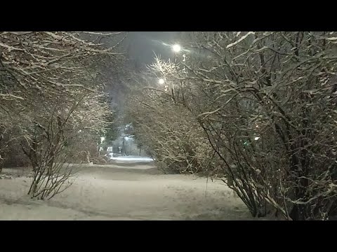 Видео: Распределяю аванс💸все под расчет😅