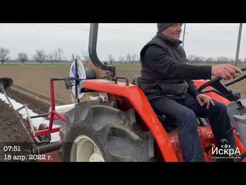 Видео: Арбуз Доминант F 1   HD 720p