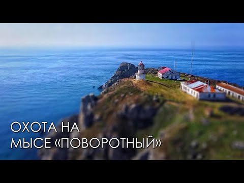Видео: Охотимся на окуня в октябре. Мыс Поворотный. Бухта Шепалово. Прокатимся. #gopro #dji #sony