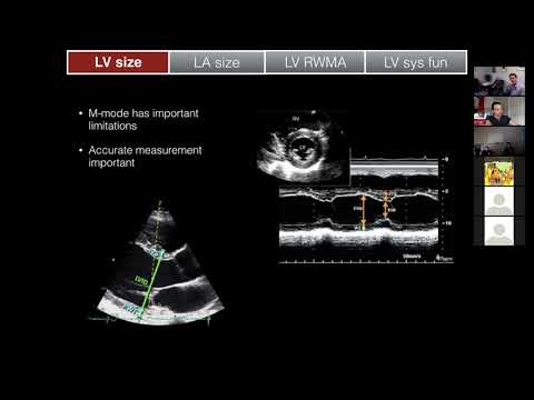 Видео: Размер и функция ЛЖ
