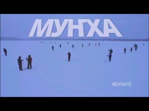 Видео: Муҥха - Сайылык күөлүгэр Одунулар муҥхалаатыбыт