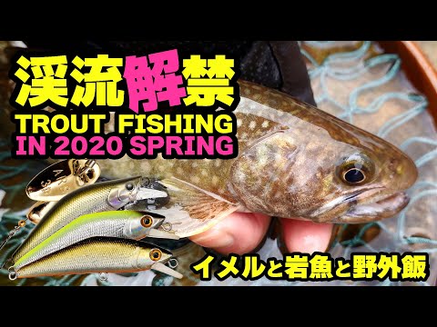 Видео: Горный ручей приманки на рыбалку 2020 года «Давай ловим форель!»