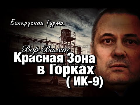Видео: Красная зона в Горках (ИК 9)