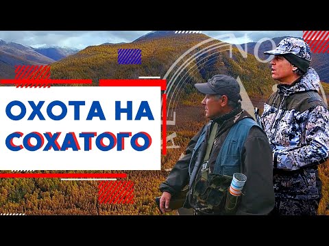 Видео: Охота на Сохатого | Осенняя охота | Северный Байкал | Nord Baikal