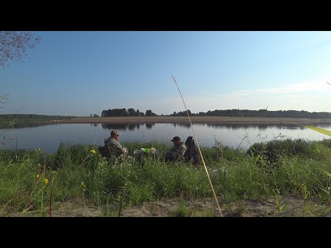 Видео: НА МАЛЕНЬКОМ ВЕЗДЕХОДЕ НА РЫБАЛКУ \ ФИДЕР, ДОНКИ, ЗАКИДУШКИ \ НОЧЬ НА БЕРЕГУ \ ЖАРКОЕ ЛЕТО 2020 !