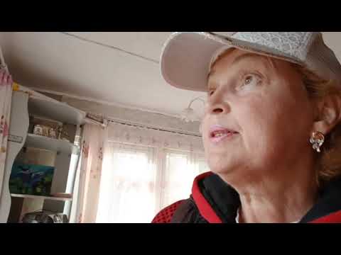 Видео: На даче. 10 - 12 августа 2025 г. 🏡 И мейн - куны 😸