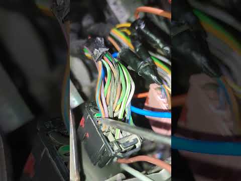 Видео: 24 октября 2025 г.