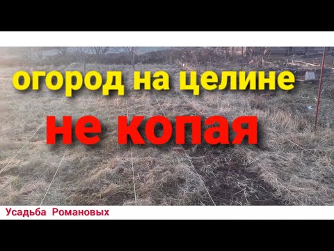 Видео: Огород на целине,не копая.