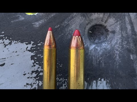 Видео: 350 Legend против 450 Bushmaster: БЕЗУМНАЯ разница в стали