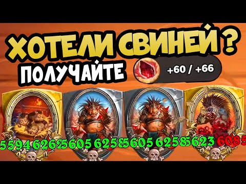 Видео: СВИНОБРАЗЫ - ГЕМЫ +60/+66 в Hearthstone Battlegrounds Поля Сражений