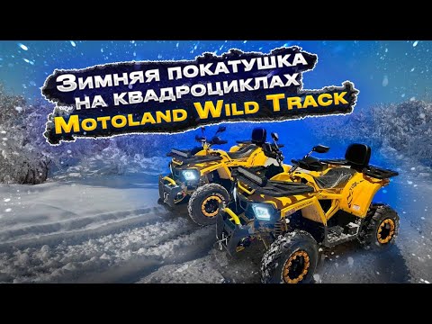 Видео: Задний привод эмоций! Зимняя покатушка на квадроциклах Motoland Wild Track