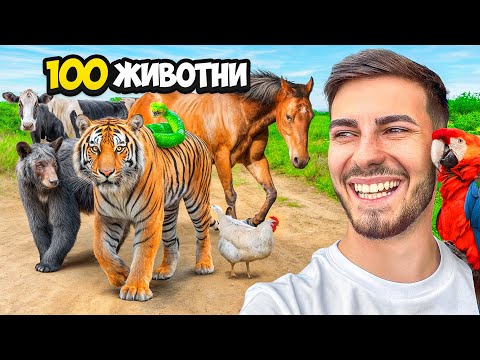 Видео: СРЕЩНАХ 100 ЖИВОТНИ ЗА 24 ЧАСА