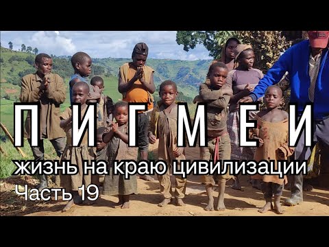 Видео: Пигмеи. Жизнь на краю цивилизации. Часть 19