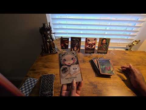 Видео: #воздушныезнаки #гаданиенатаро #таро #еженедельныйгороскоп им не стоило тебя предавать