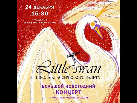 Видео: Little swan Большой новогодний концерт 2022