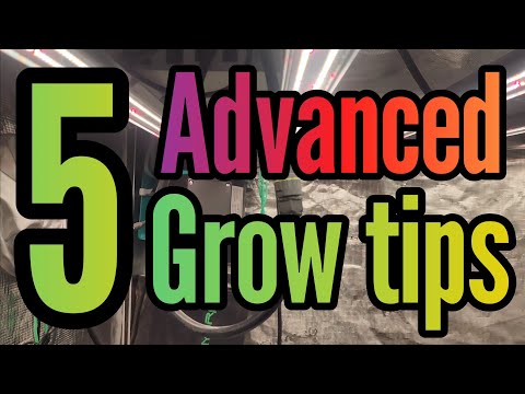 Видео: 5 продвинутых советов по выращиванию для опытных гроверов, #FC4800