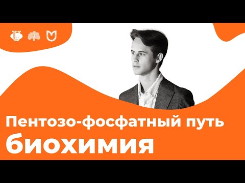 Видео: ПЕНТОЗОФОСФАТНЫЙ ПУТЬ за 12 МИНУТ! // На Биохимическом