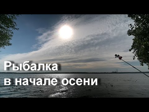 Видео: Осенняя рыбалка на реке Днепр. Ловля карася.