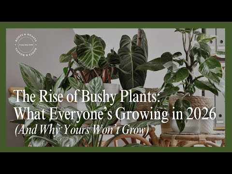 Видео: Расцвет кустистых растений: что все будут выращивать в 2026 году (и почему ваши растения не будут...