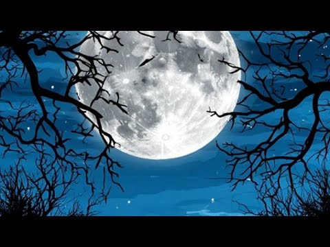 Видео: Семья Усольцевых, почему не найдены. #таро 