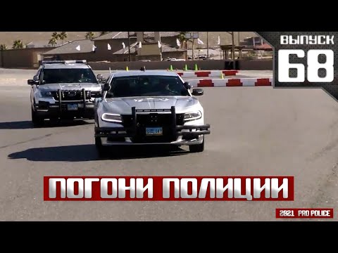 Видео: Погони полиции США: Граждане помогают сотрудникам [Выпуск 68 2021]