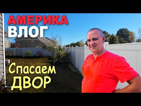 Видео: В шоке от налога на машину! Куда идут эти деньги? Закупка для двора и дома / Спасаем двор в США Влог