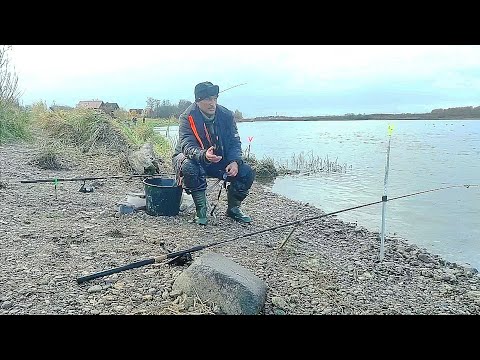 Видео: Двушки ,Трёшки , Полторашки.80 кг.В этом месте живут самые Здоровенные Лещи.Ночная  ловля Леща.