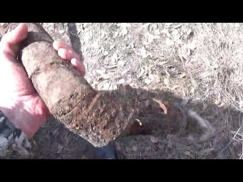 Видео: Огромный металл.Таких задвижек я ещё не находил. Почти 2 тонны в одного.Архив.