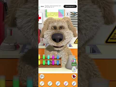 Видео: 18 сентября 2025 г.