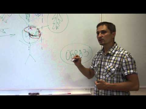 Видео: Ощущения и восприятие  Лекция 4