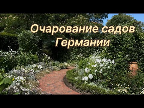 Видео: Белый сад🌿 Китайский сад🌿 Озеро🌿 Цветочные клумбы в природном стиле🌿 ARBORETUM 🌿