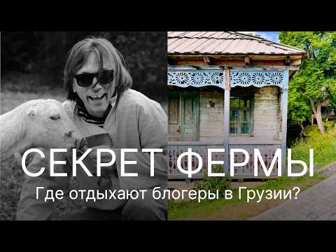 Видео: Хинкали, йога и спать в контейнере - успешная бизнес-модель в туризме. Кто бы подумал?