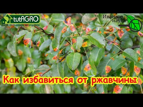 Видео: МЫ НАШЛИ ЛУЧШЕЕ СРЕДСТВО ПРОТИВ РЖАВЧИНЫ! Избавьтесь от ржавчины раз и навсегда!