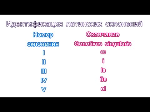 Видео: Имя существительное. Первое склонение