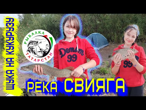 Видео: Рыбалка на Свияге - Республика Татарстан 23.08.23