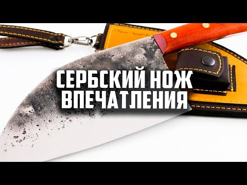 Видео: Сербский нож впечатления. #проножи #shorts  #обзорножа