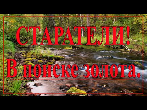 Видео: Как старатели добывают золото !