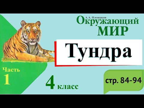 Видео: Тундра. Окружающий мир. 4 класс, 1 часть. Учебник А. Плешаков стр. 84-94