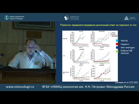 Видео: Системная терапия для распространенного трижды негативного рака молочной железы