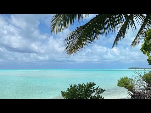 Видео: Мальдивы-моя сбывшаяся мечта!Локальный остров , правильный ли выбор? Остров Фехенду#мальдивы#2025 
