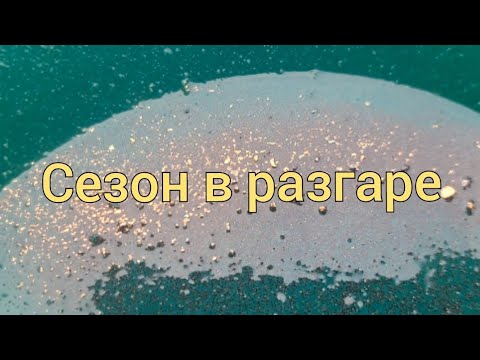 Видео: Сезон в разгаре