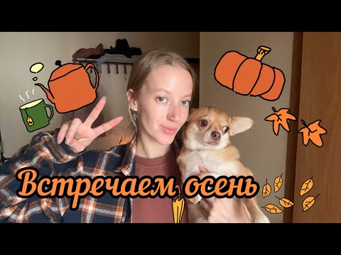 Видео: ЧихоВЛОГ/VLOG. ОСЕНЬ! ДЕНЬ РОЖДЕНИЕ! ХОМЯК?!….