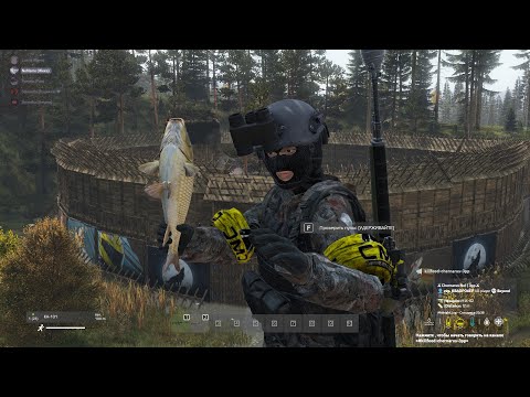 Видео: Наше выживание за 15 дней. DayZ MIDNIGHT