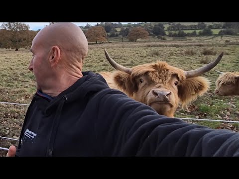 Видео: НАКОНЕЦ-ТО УДАЛОСЬ УВИДЕТЬ ЧТО-ТО!! ТО, ЧТО МЫ ХОТЕЛИ УВИДЕТЬ,,,,,