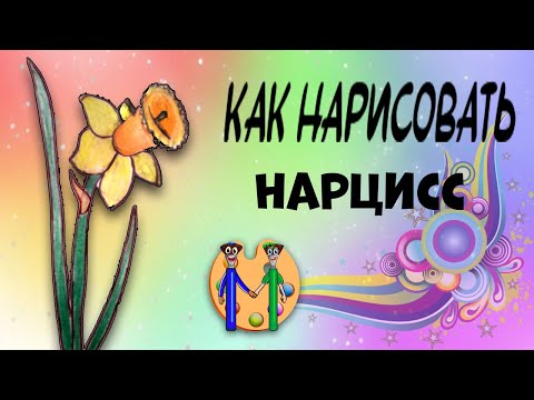 Видео: Как нарисовать нарцисс карандашом. Онлайн-школа рисования "Малевашки"