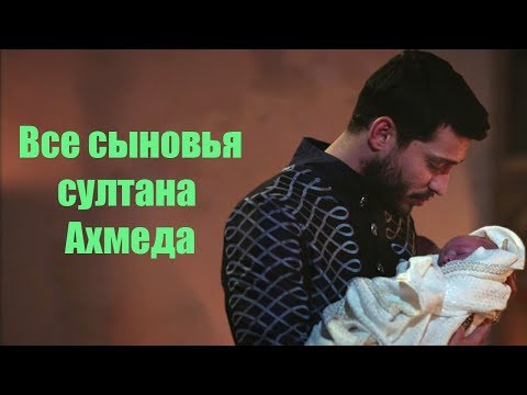 Видео: Все сыновья султана Ахмеда