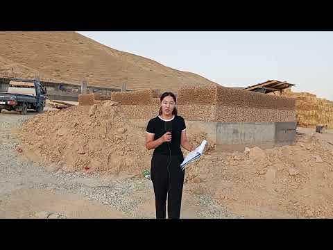 Видео: #Араван району эски окмоттун токтому✍️ жаны ОКМОТТУ  кыйнады.
