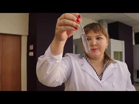 Видео: Мастер-класс на тему: "Контроль качества питьевой воды". Павлова Вероника Александровна